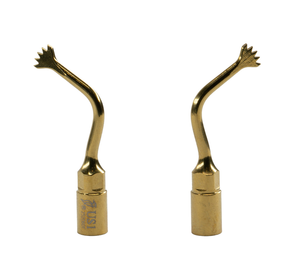 INSERT WOODPECKER US1 COMPATIBLE MECTRON-COXO - REF:718