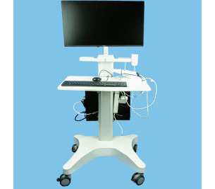 CART FOR COXO DL-300P SCANNER STAND - REF:803