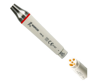 PIEZA DE MANO WOODPECKER LED COMPATIBLE EMS-COXO CABEZAL INOX HW-5L - RÉF:796